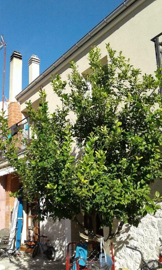 Wolverine Residence Zadar Dış mekan fotoğraf